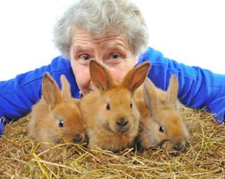 Woman with 3 bunnies